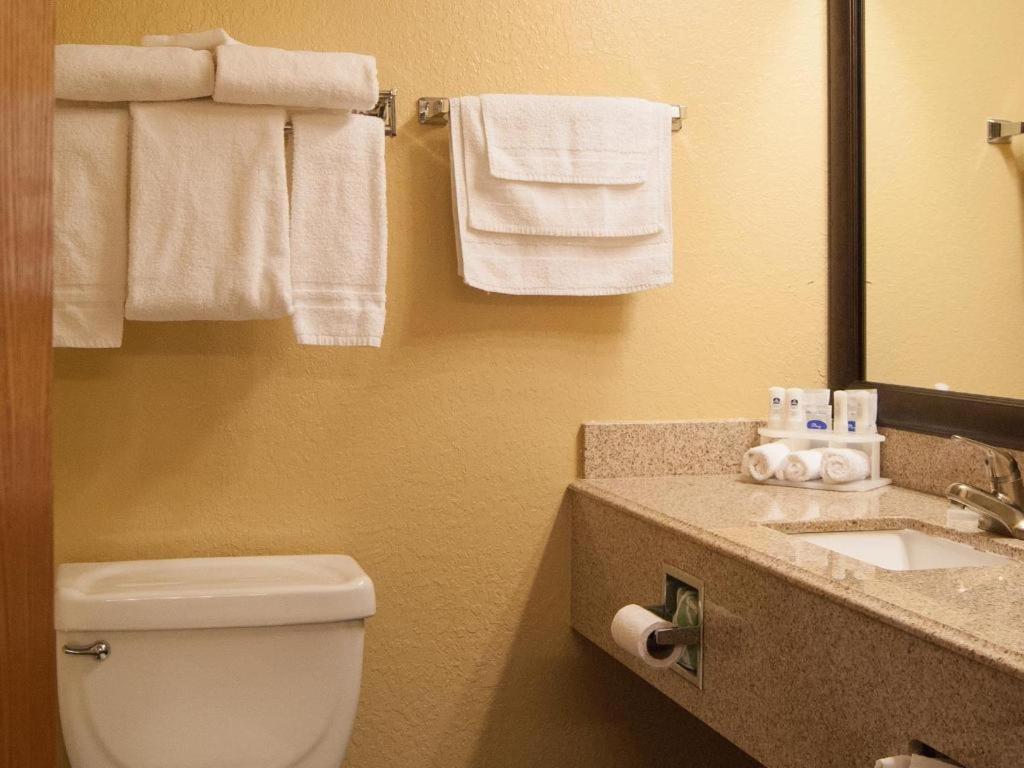 Best Western Locust Grove Inn & Suites Extérieur photo